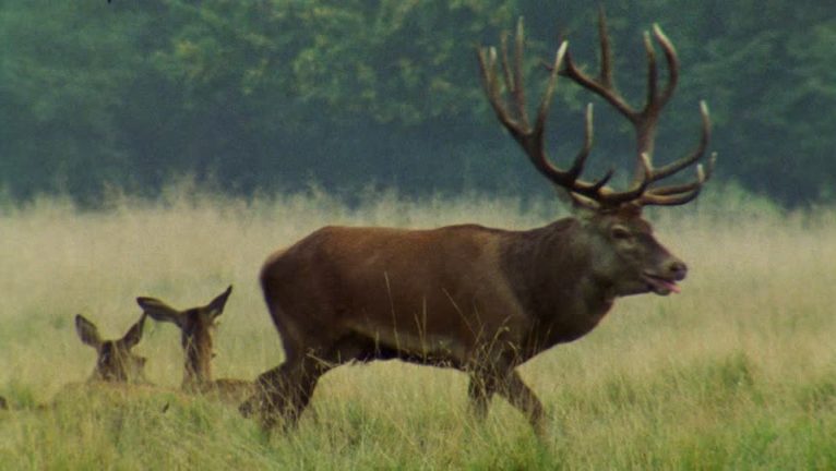 Équipement de Chasse, pêche & camping