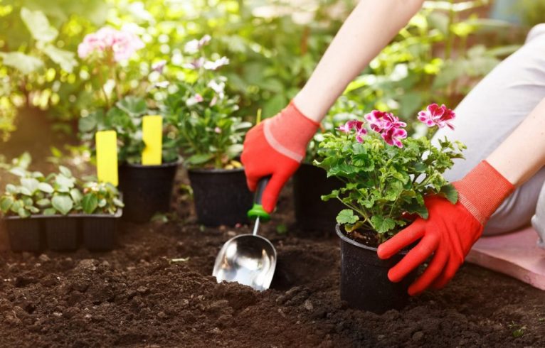 Jardinage